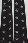 Unknown SIlver Stars on Black.png